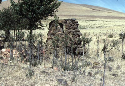 Photograph Hud-clu-062 Russell Hudson, 1980)